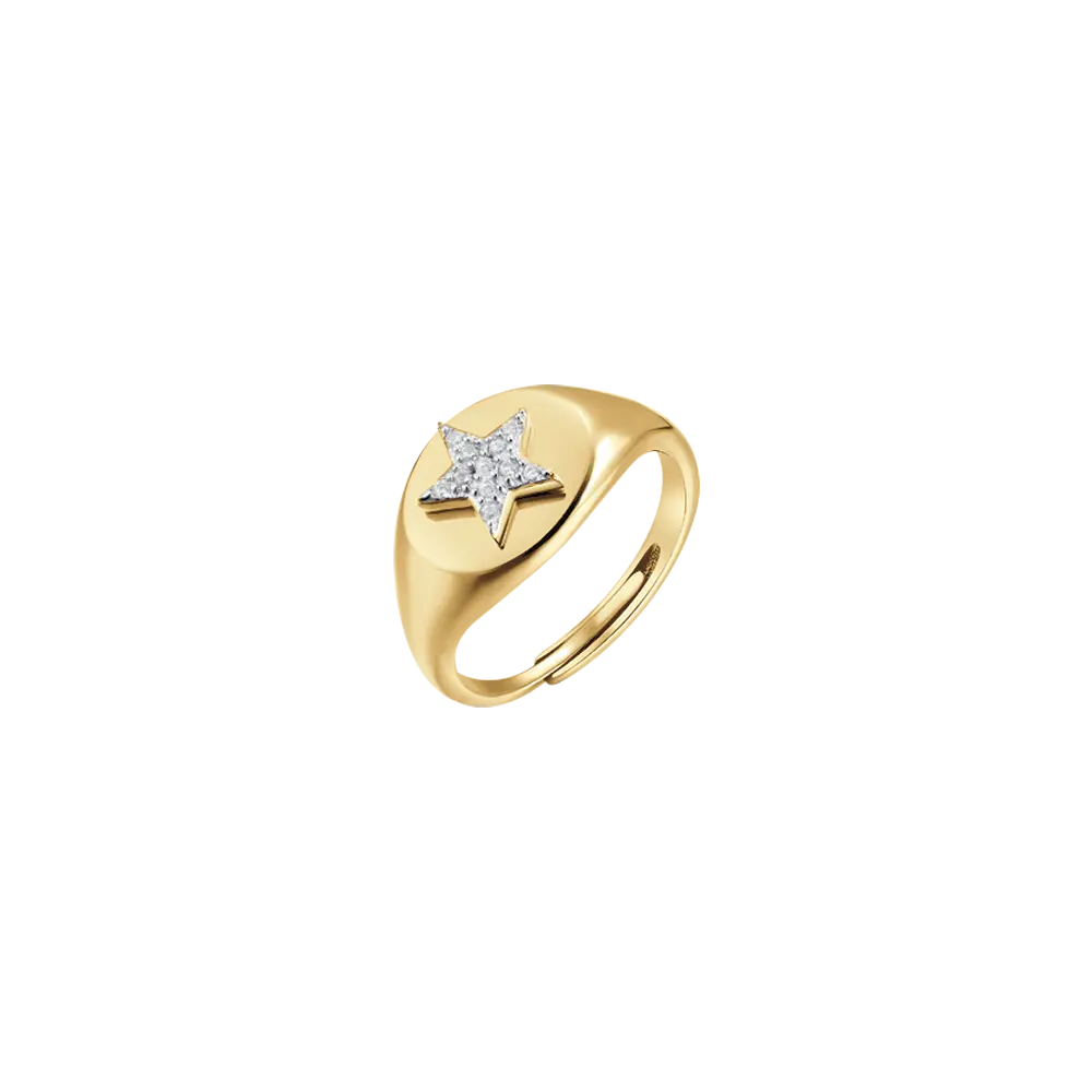 IP GOLD SILVER SEAL RING WITH STAR AND WHITE ZIRCONES Melitea