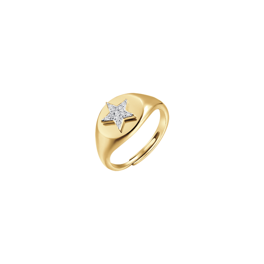 IP GOLD SILVER SEAL RING WITH STAR AND WHITE ZIRCONES Melitea